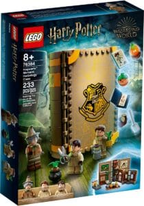 LEGO 76384 Hogwarts Moment: Kräuterkundeunterricht