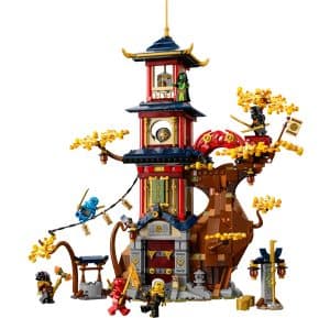 LEGO Tempel der Drachenpower 71795